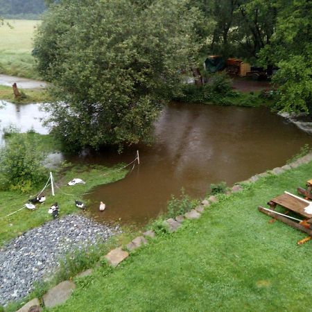 Biofarma Dolejsi Mlyn Villa Kamberk Dış mekan fotoğraf