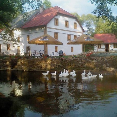 Biofarma Dolejsi Mlyn Villa Kamberk Dış mekan fotoğraf