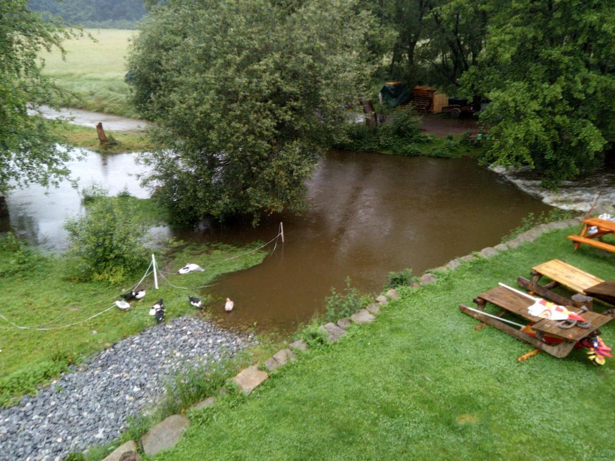Biofarma Dolejsi Mlyn Villa Kamberk Dış mekan fotoğraf
