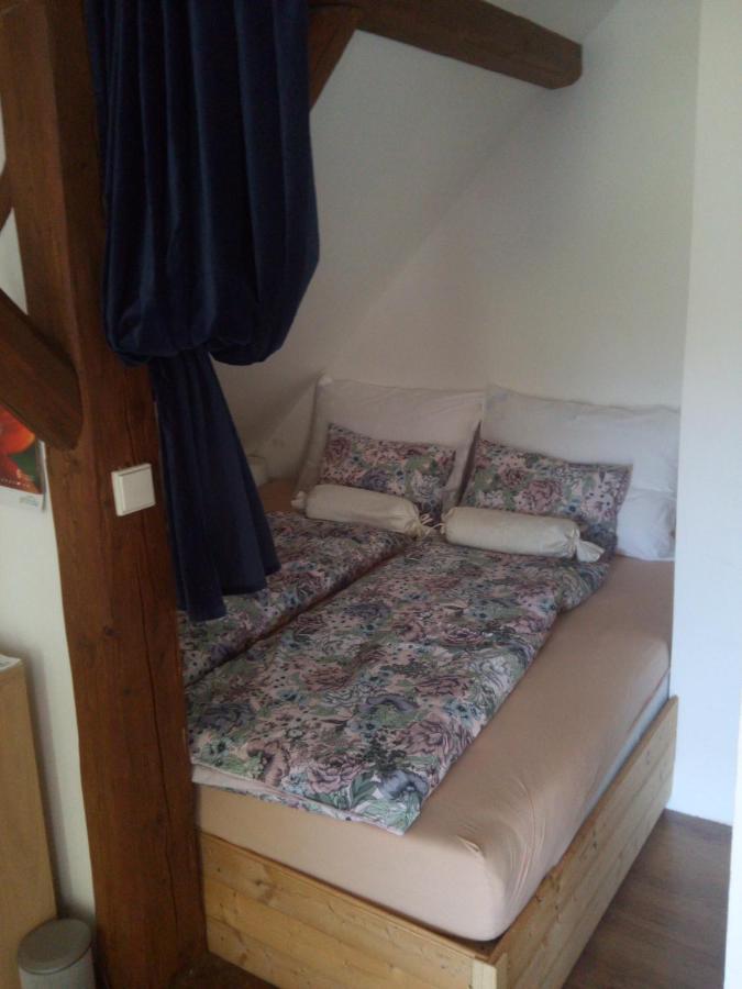 Biofarma Dolejsi Mlyn Villa Kamberk Dış mekan fotoğraf