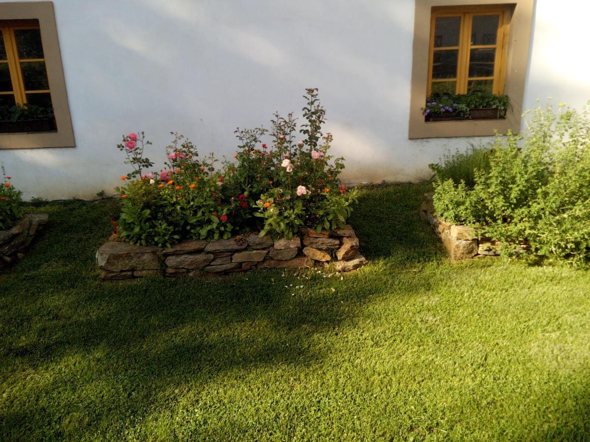 Biofarma Dolejsi Mlyn Villa Kamberk Dış mekan fotoğraf