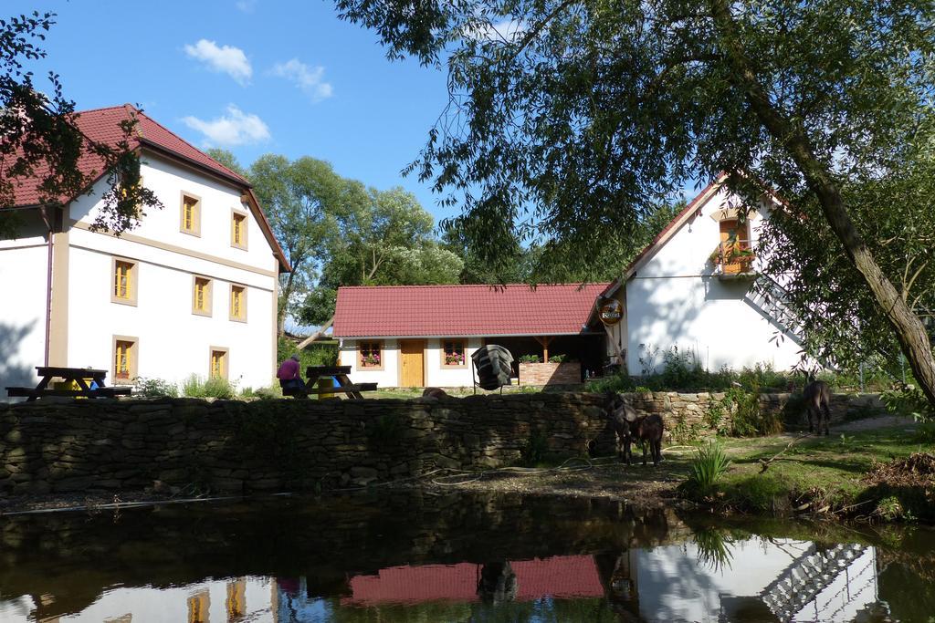 Biofarma Dolejsi Mlyn Villa Kamberk Dış mekan fotoğraf