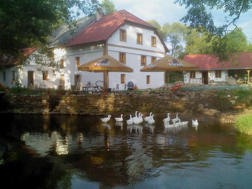 Biofarma Dolejsi Mlyn Villa Kamberk Dış mekan fotoğraf