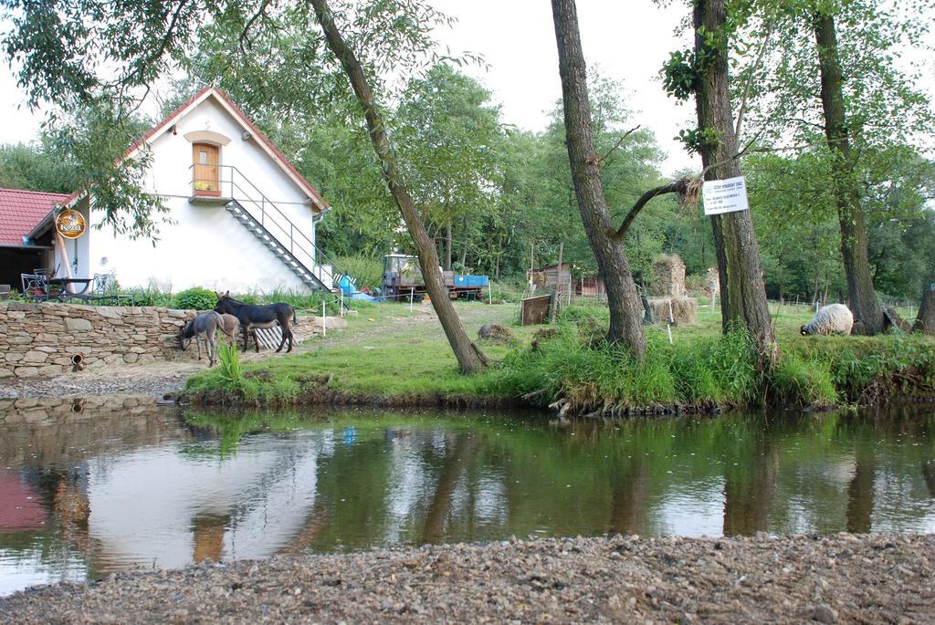 Biofarma Dolejsi Mlyn Villa Kamberk Dış mekan fotoğraf