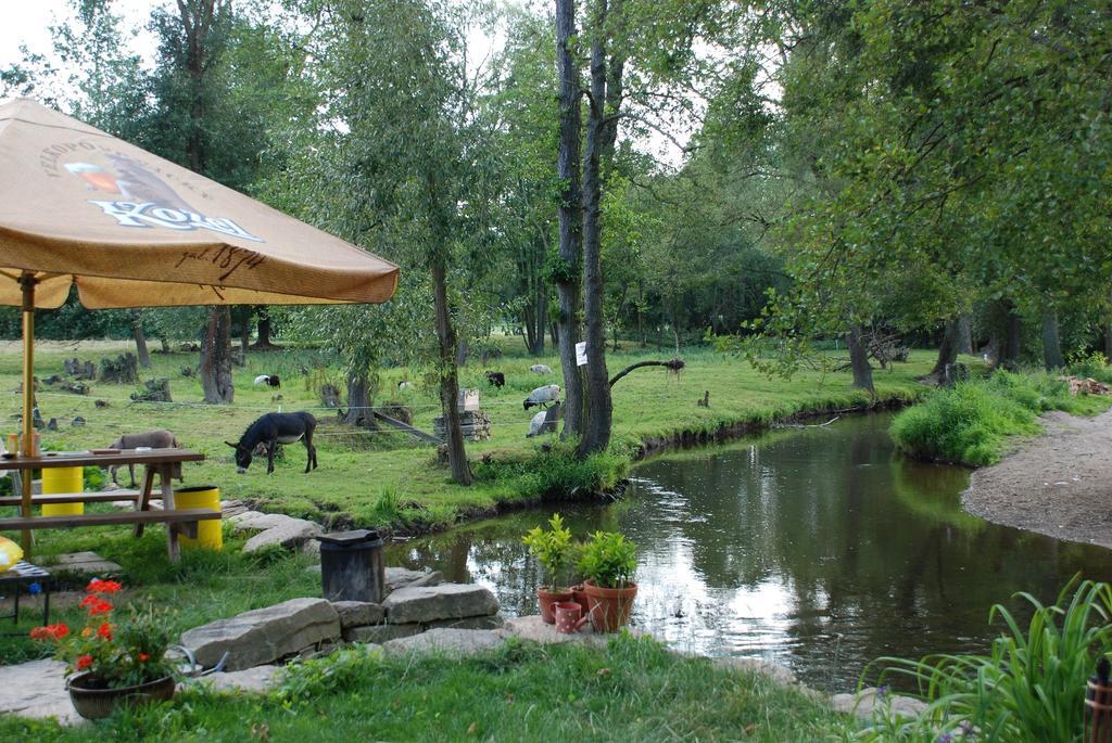 Biofarma Dolejsi Mlyn Villa Kamberk Dış mekan fotoğraf