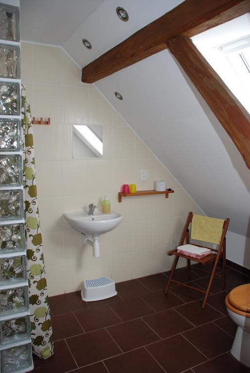 Biofarma Dolejsi Mlyn Villa Kamberk Oda fotoğraf